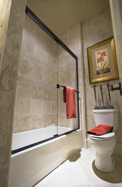 Glass Shower Door