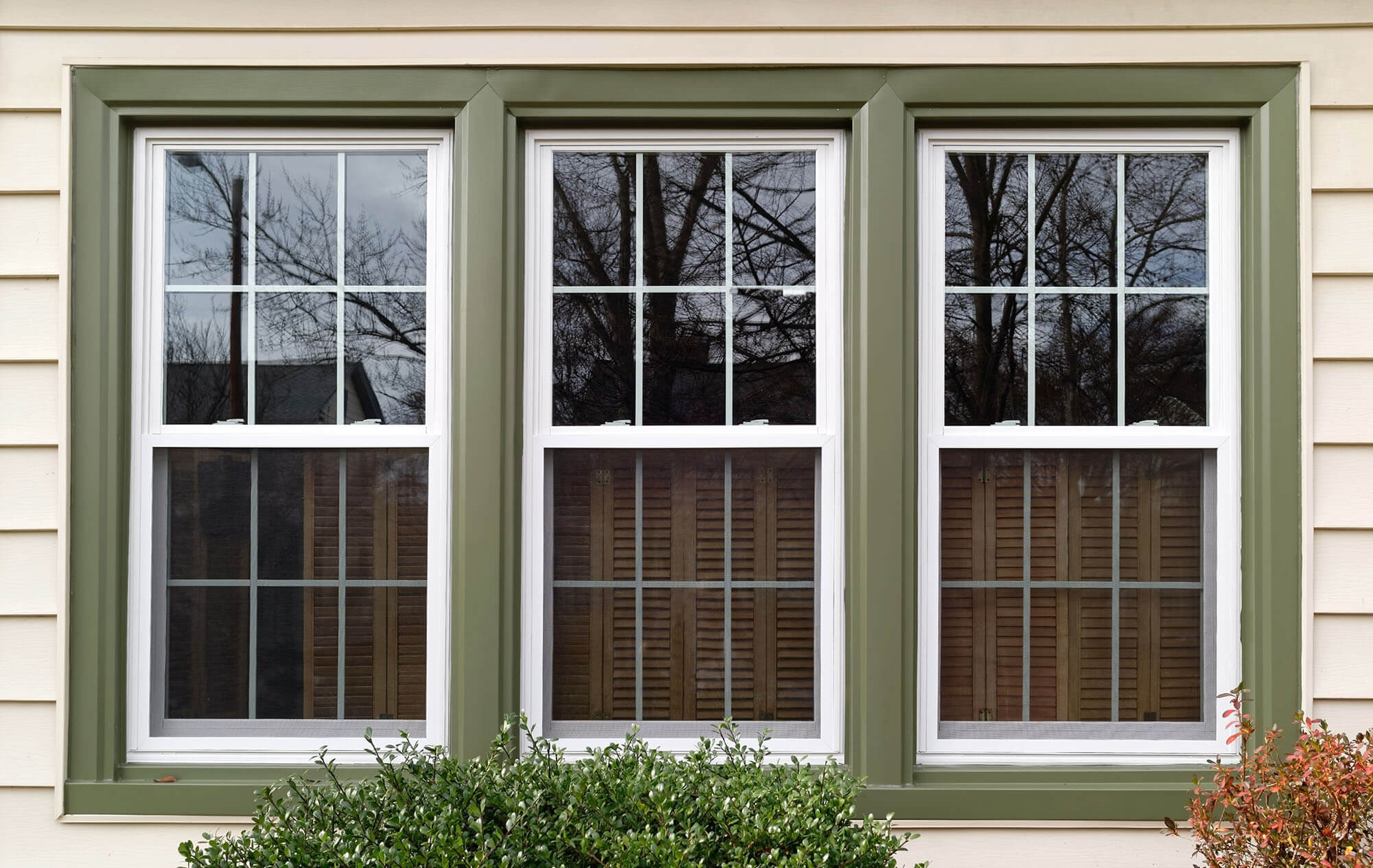 Single Hung Windows