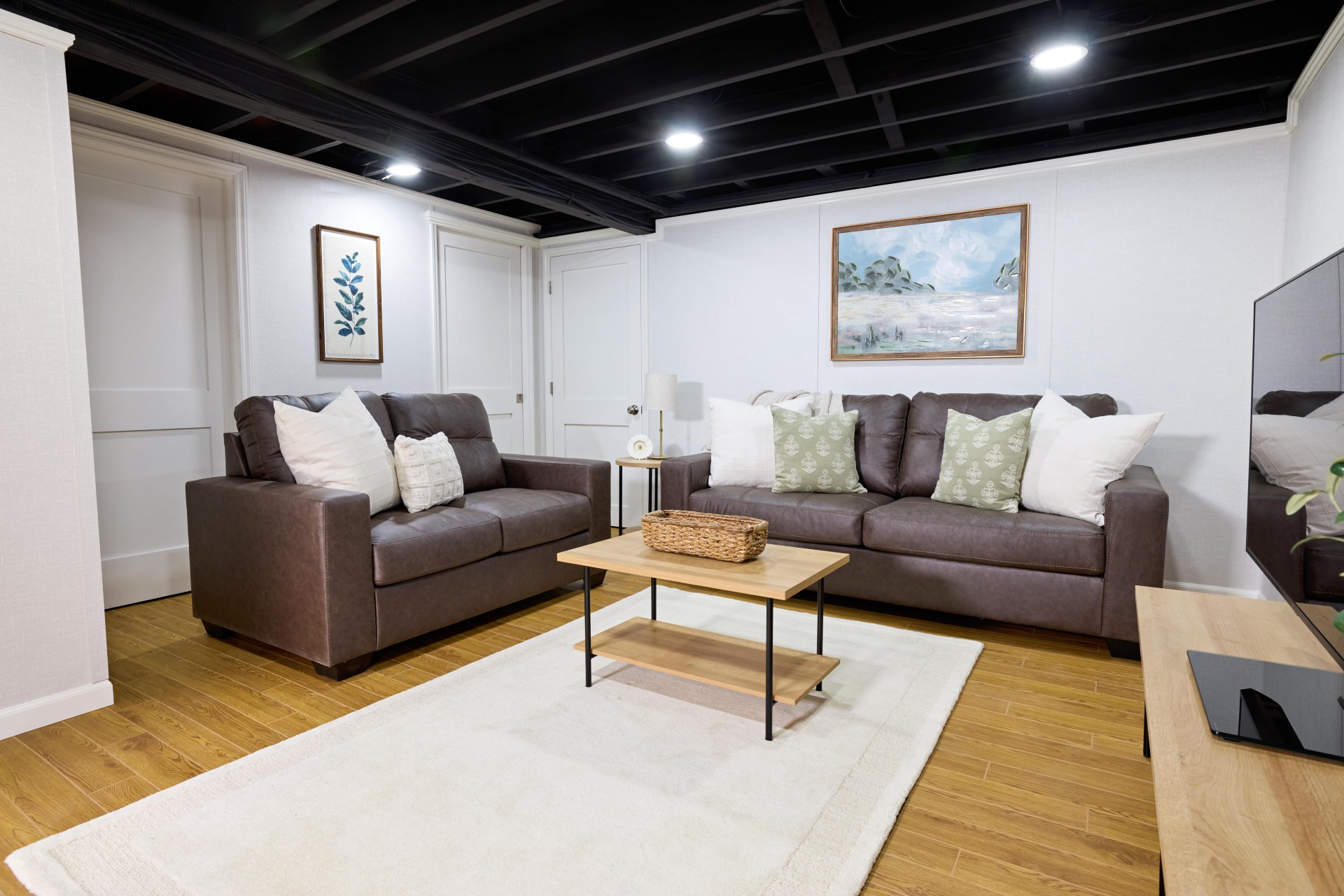 Basement Finishing