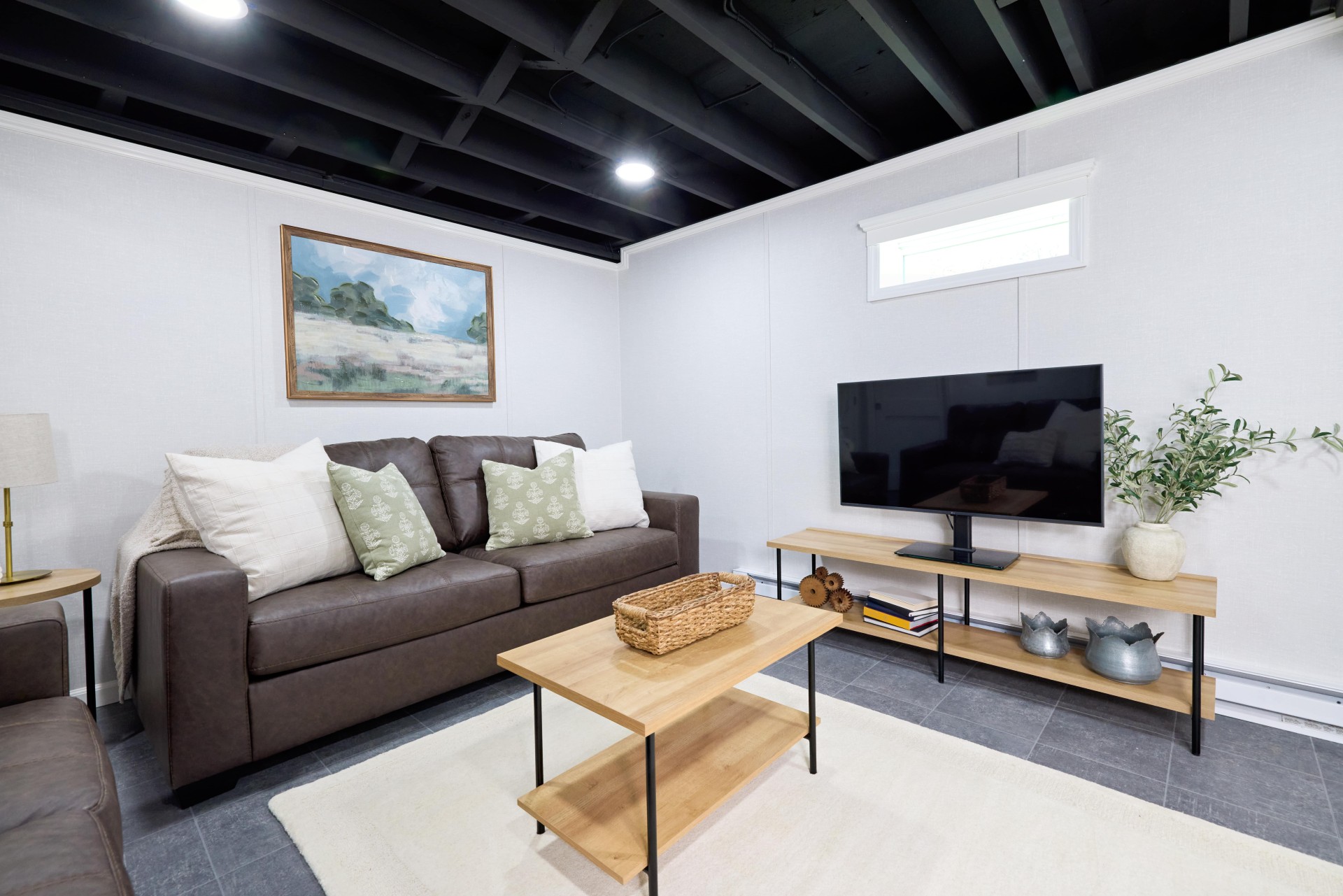 Basement Finishing
