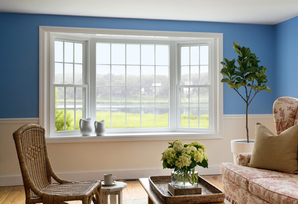 Essex Windows
